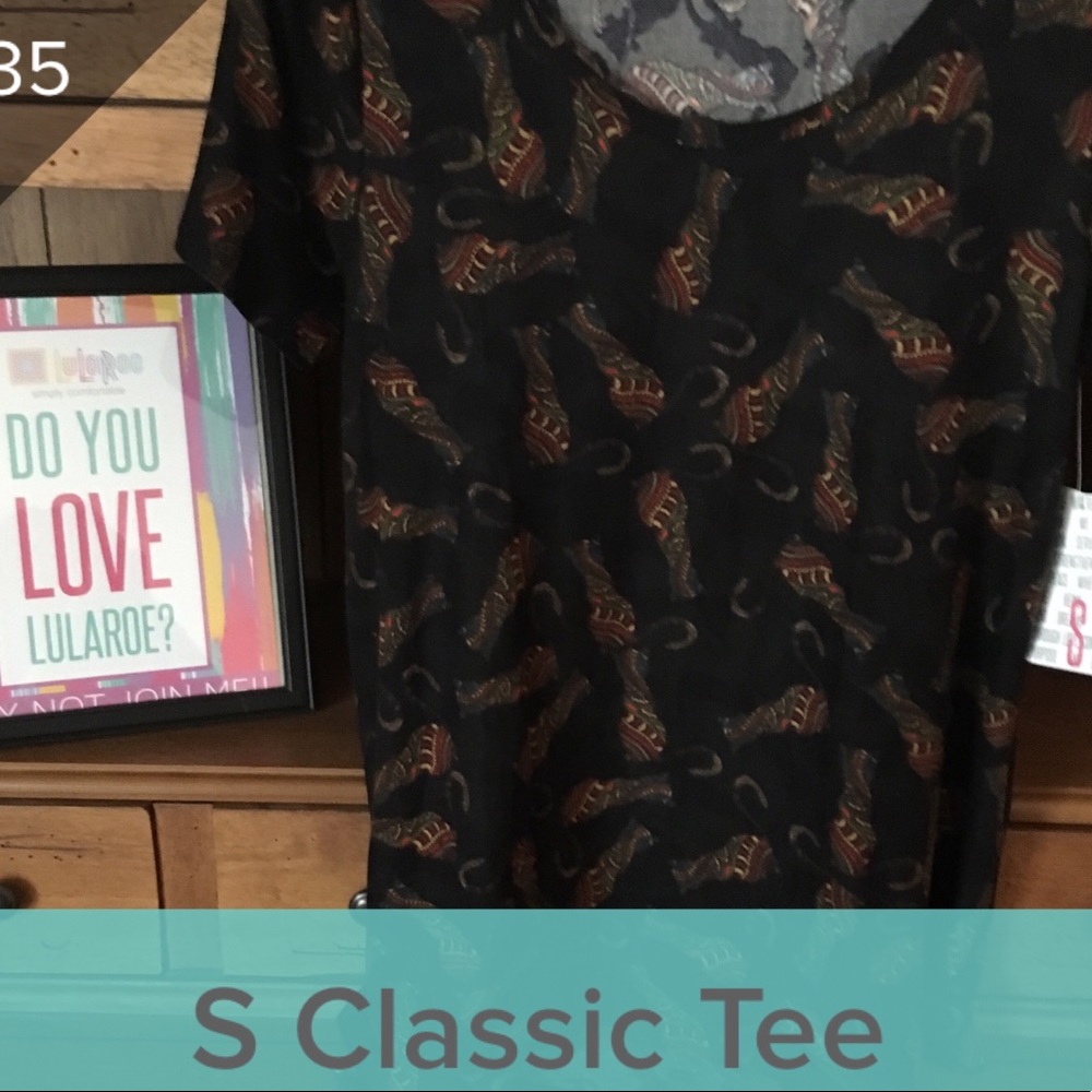 LuLaRoe Classic T with Cats